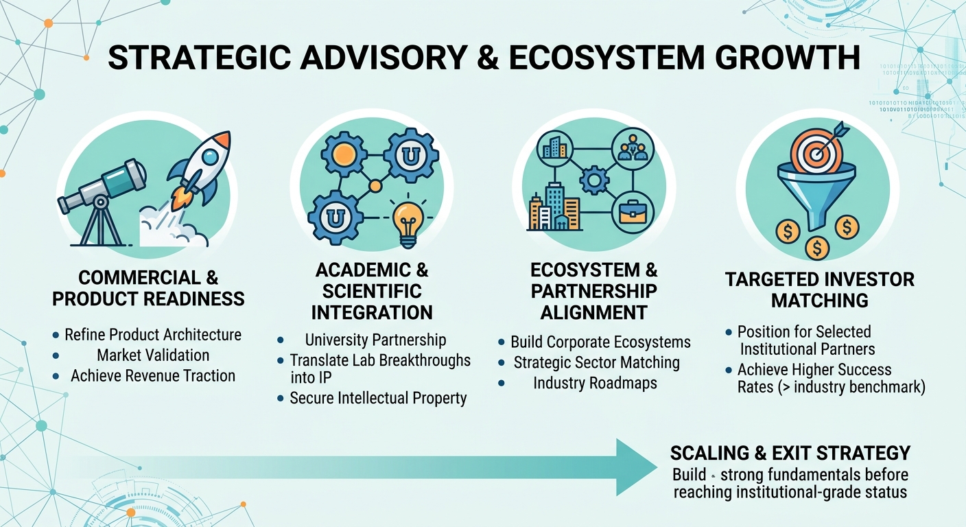 Strategic Advisory Beyond Traditional Venture Capital for Scale-Ups and Research Spin-Outs Maldives